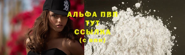 шишки Беломорск