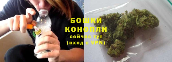 шишки Беломорск