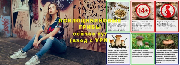 метадон Богородицк