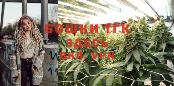 стаф Белоозёрский