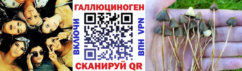 купить наркотики цена  Октябрьский  Галлюциногенные грибы ЛСД 